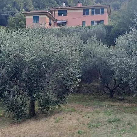 Lägenhet Appartamento Varazze *